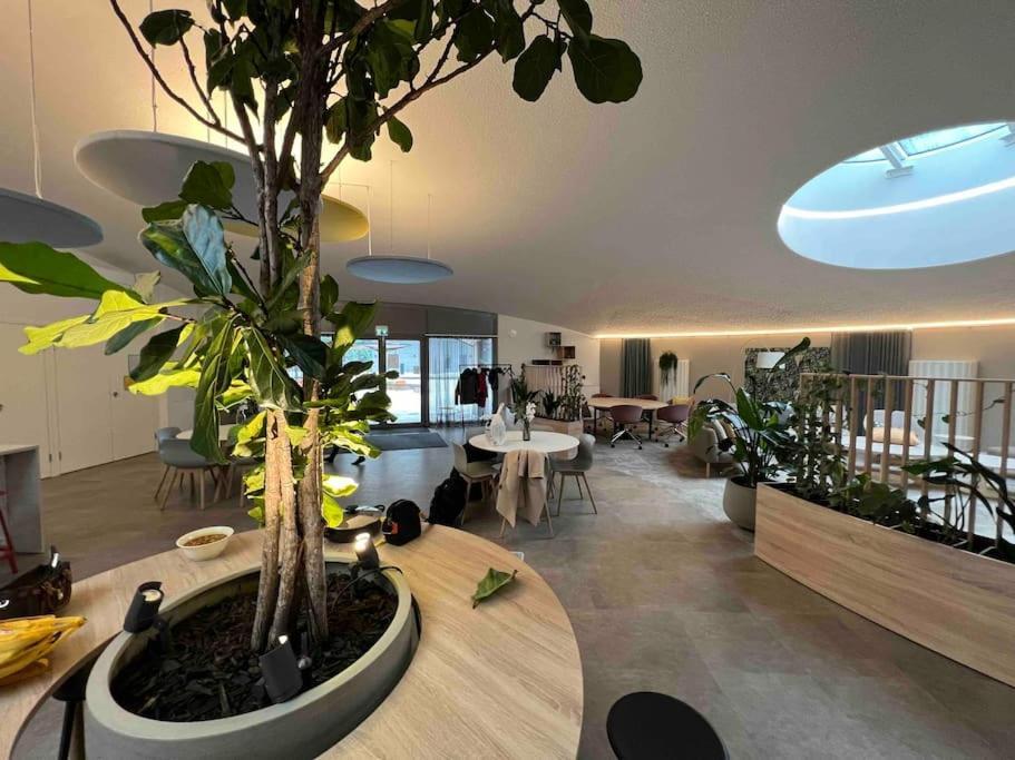 Brand New Modern Condo Built-In Mall Of Tripla 赫尔辛基 外观 照片